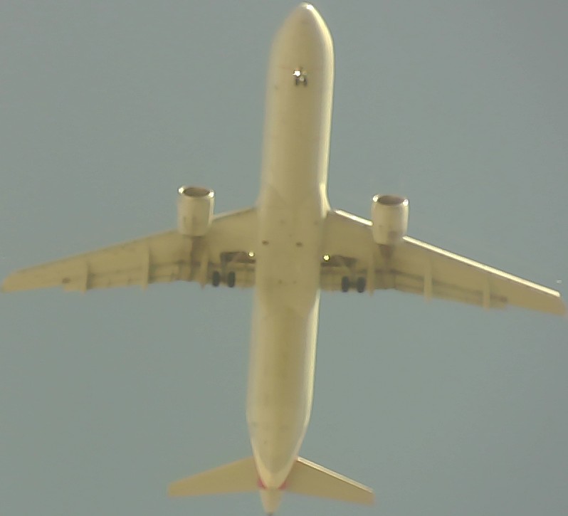 Airplane Picture