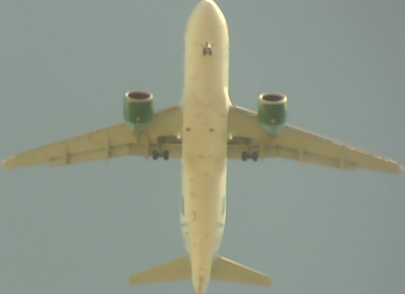Airplane Picture
