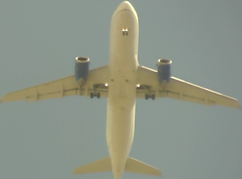 Airplane Picture