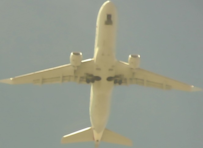 Airplane Picture