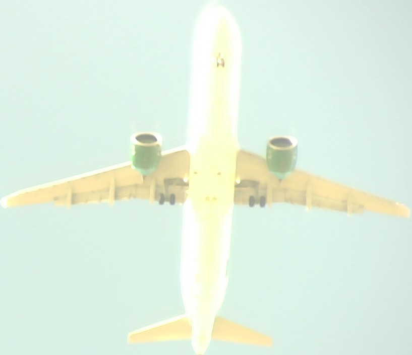 Airplane Picture