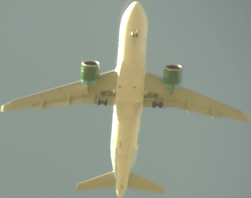 Airplane Picture