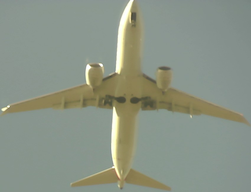 Airplane Picture