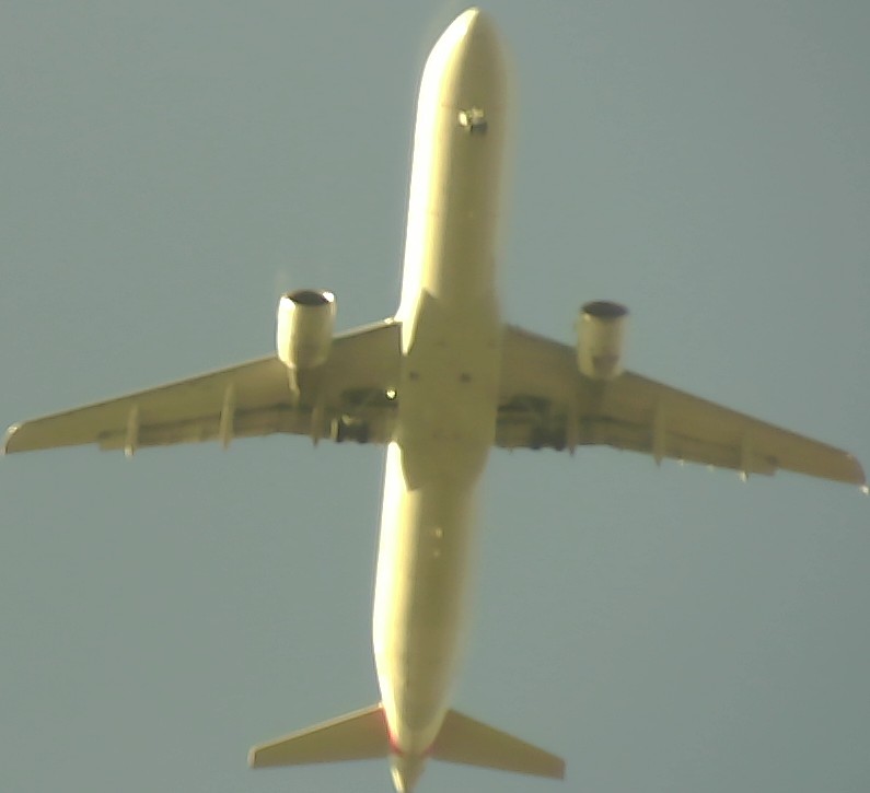 Airplane Picture