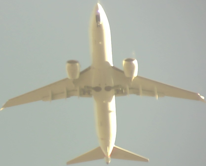 Airplane Picture