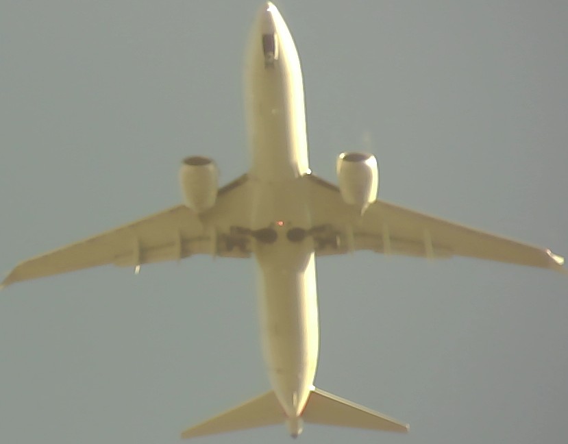 Airplane Picture