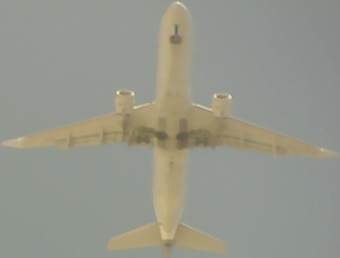 Airplane Picture