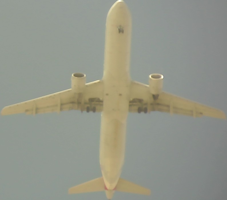 Airplane Picture