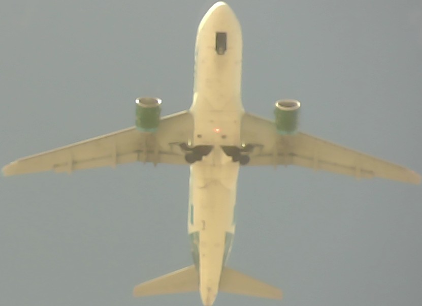 Airplane Picture