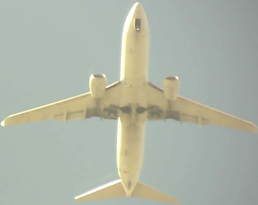 Airplane Picture