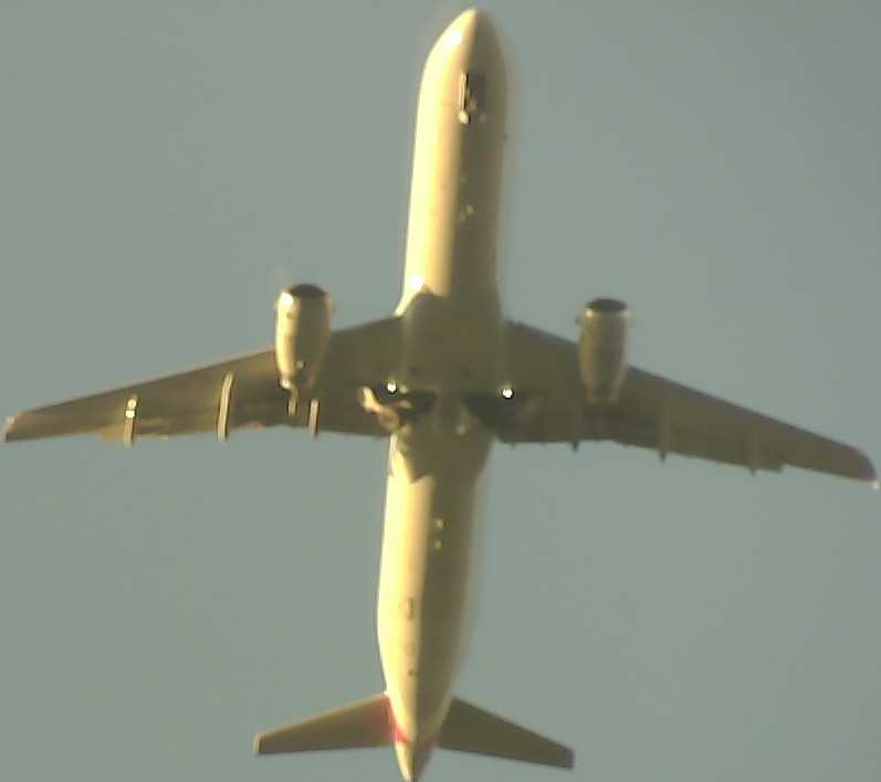 Airplane Picture