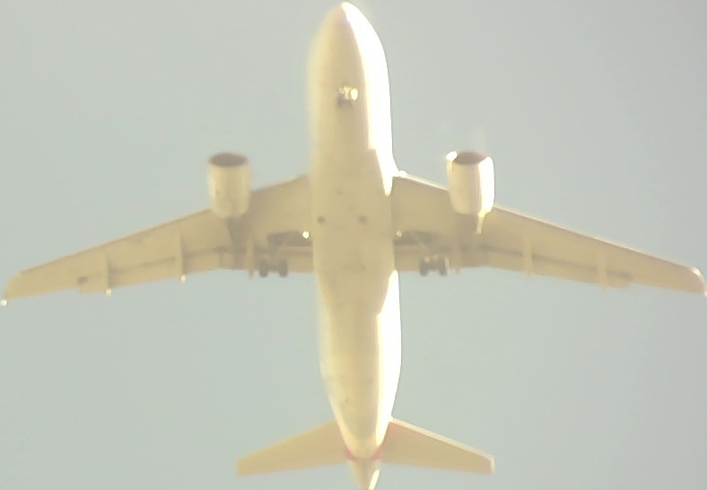 Airplane Picture