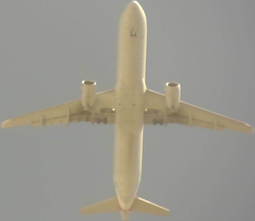 Airplane Picture