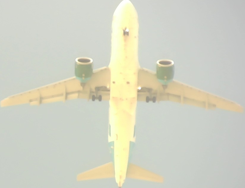 Airplane Picture