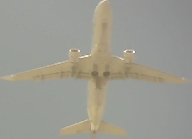 Airplane Picture