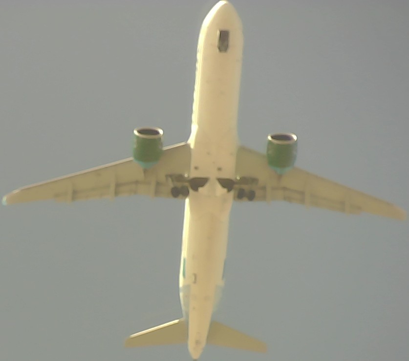Airplane Picture