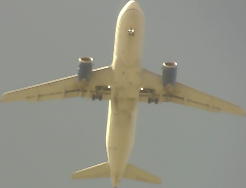 Airplane Picture