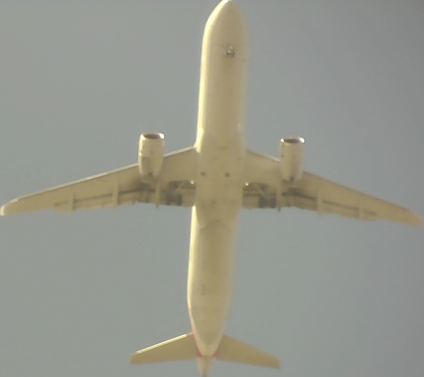 Airplane Picture