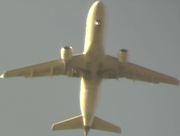 Airplane Picture