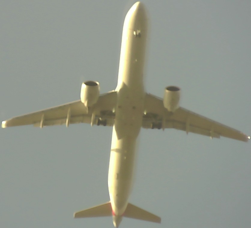 Airplane Picture
