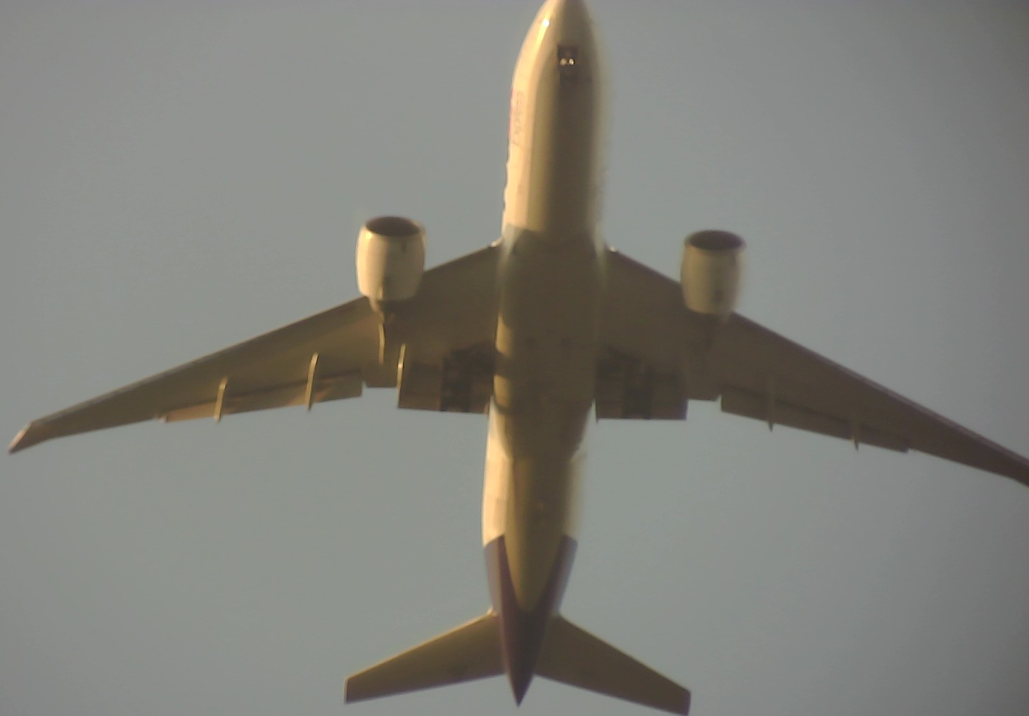 Airplane Picture