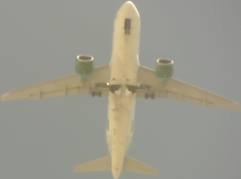 Airplane Picture