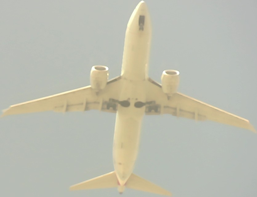 Airplane Picture