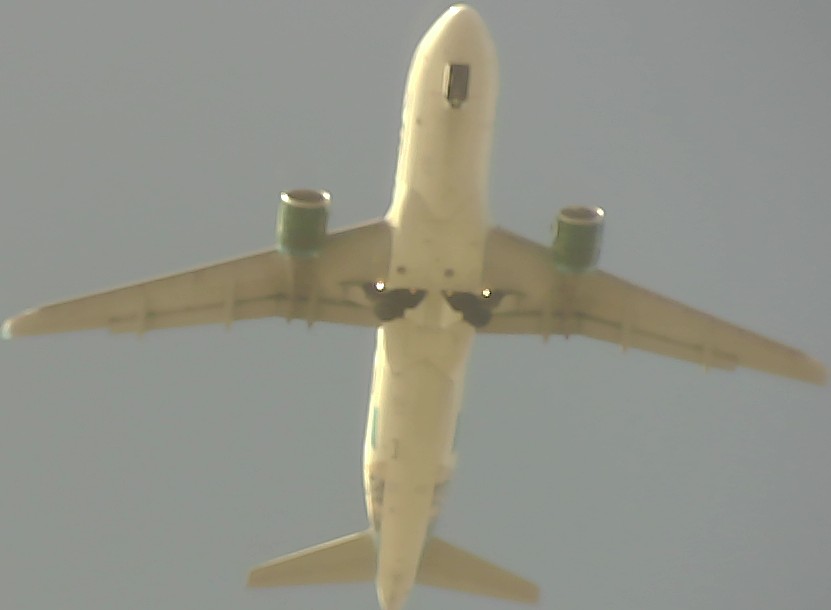Airplane Picture