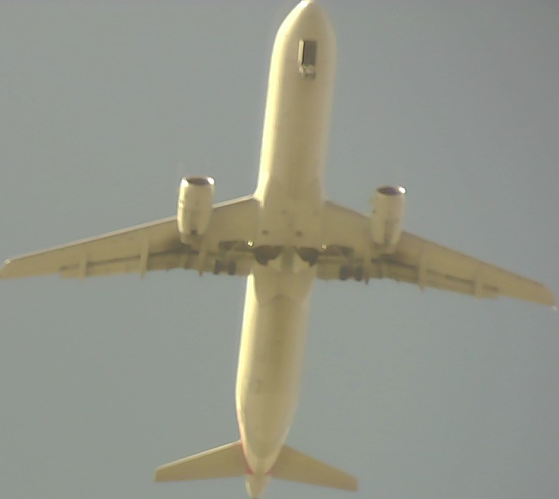 Airplane Picture