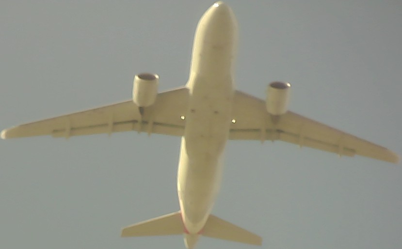 Airplane Picture