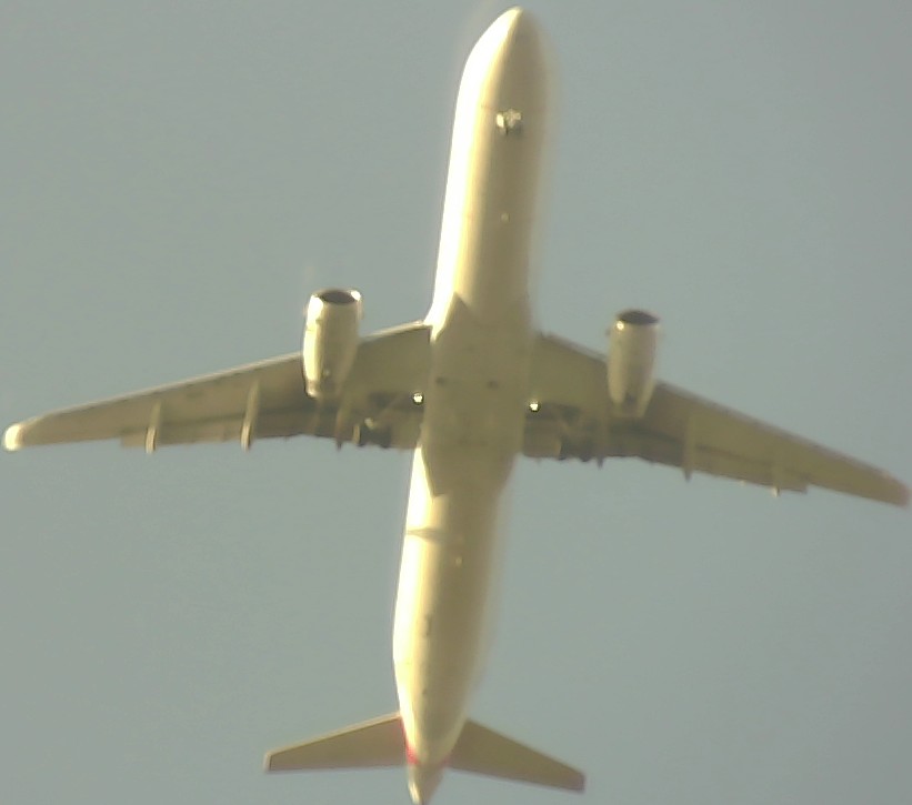 Airplane Picture