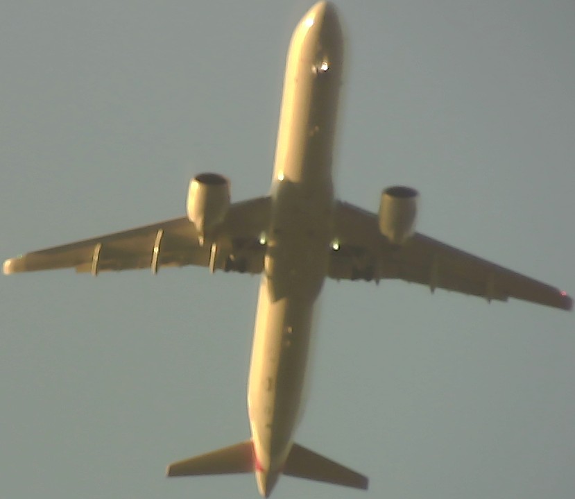 Airplane Picture