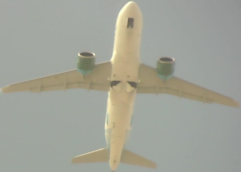 Airplane Picture