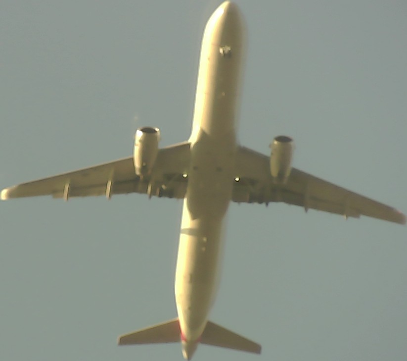 Airplane Picture