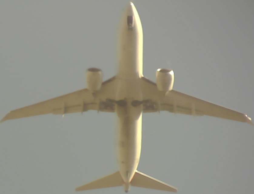 Airplane Picture