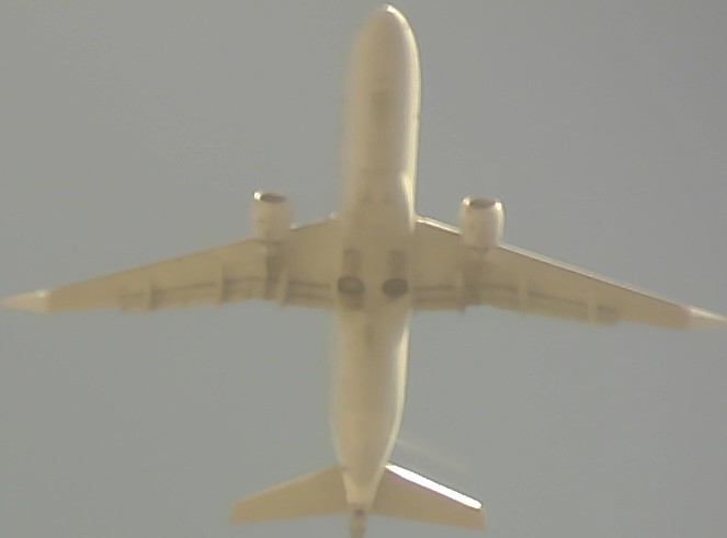 Airplane Picture