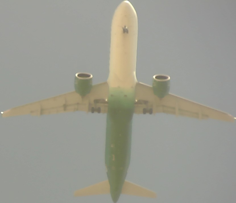 Airplane Picture