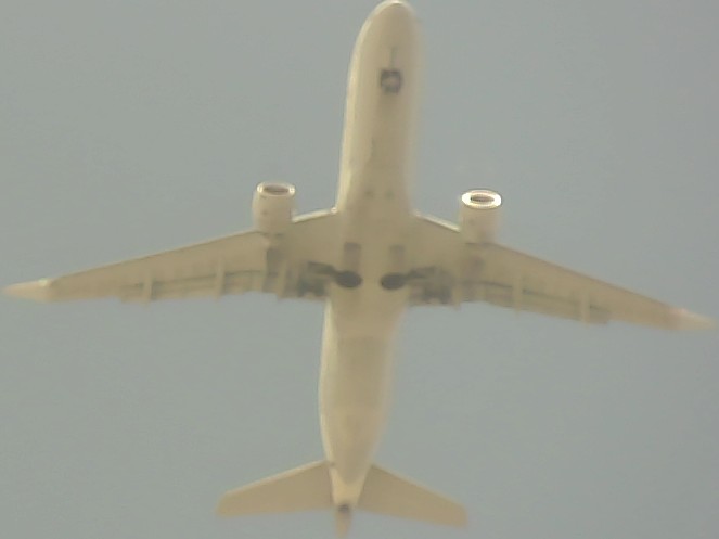 Airplane Picture