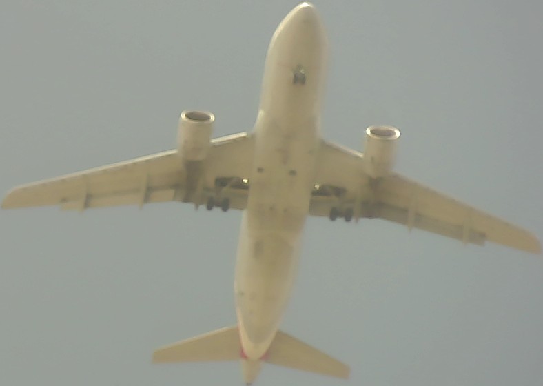 Airplane Picture