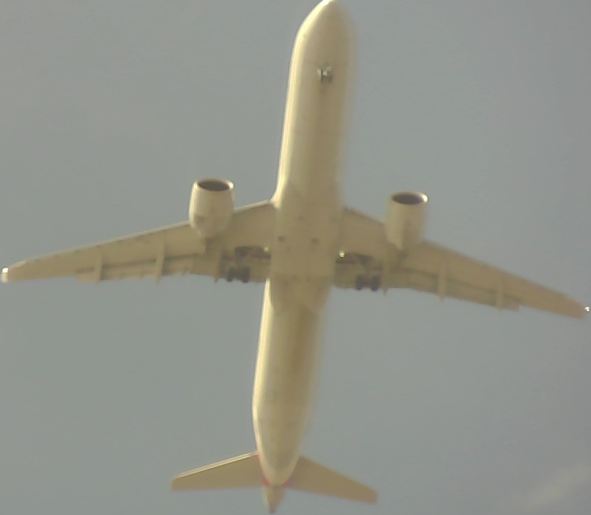 Airplane Picture