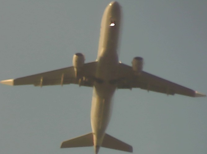 Airplane Picture