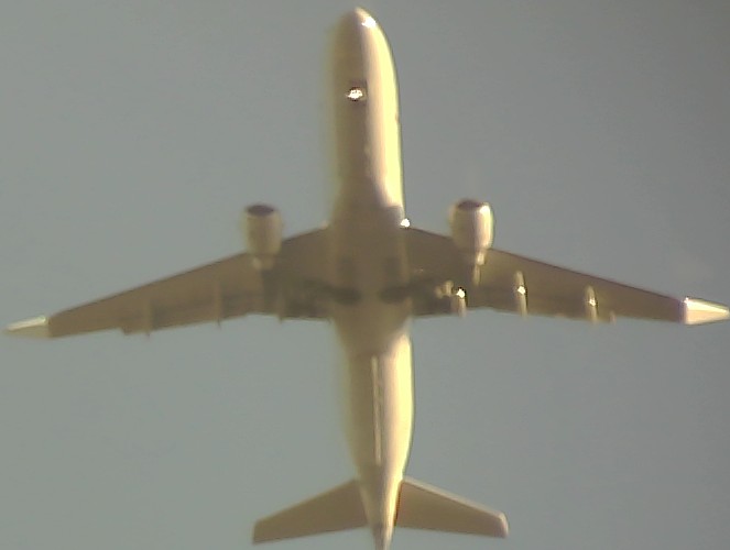 Airplane Picture