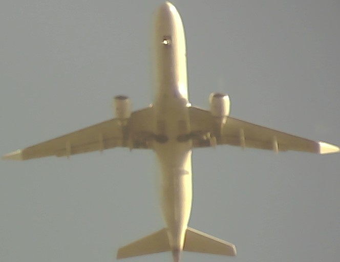 Airplane Picture