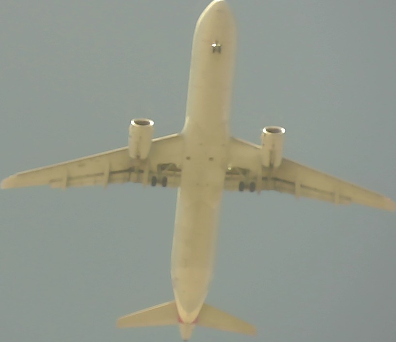 Airplane Picture