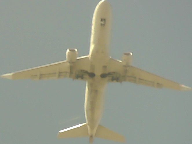 Airplane Picture