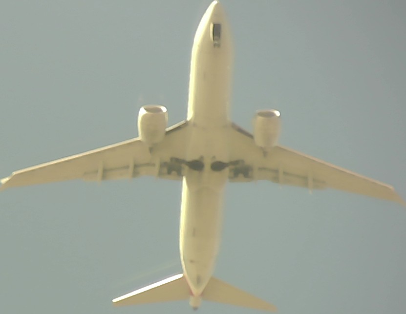 Airplane Picture
