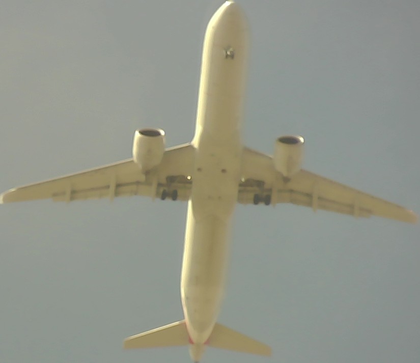 Airplane Picture
