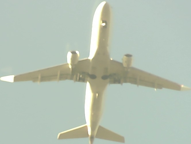 Airplane Picture