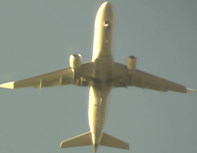 Airplane Picture