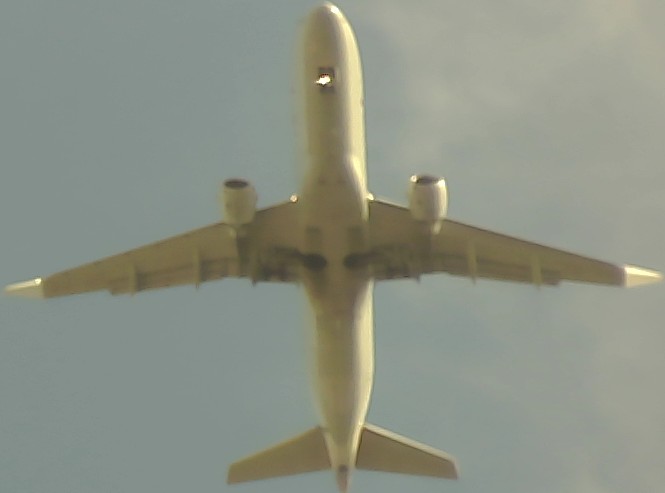 Airplane Picture